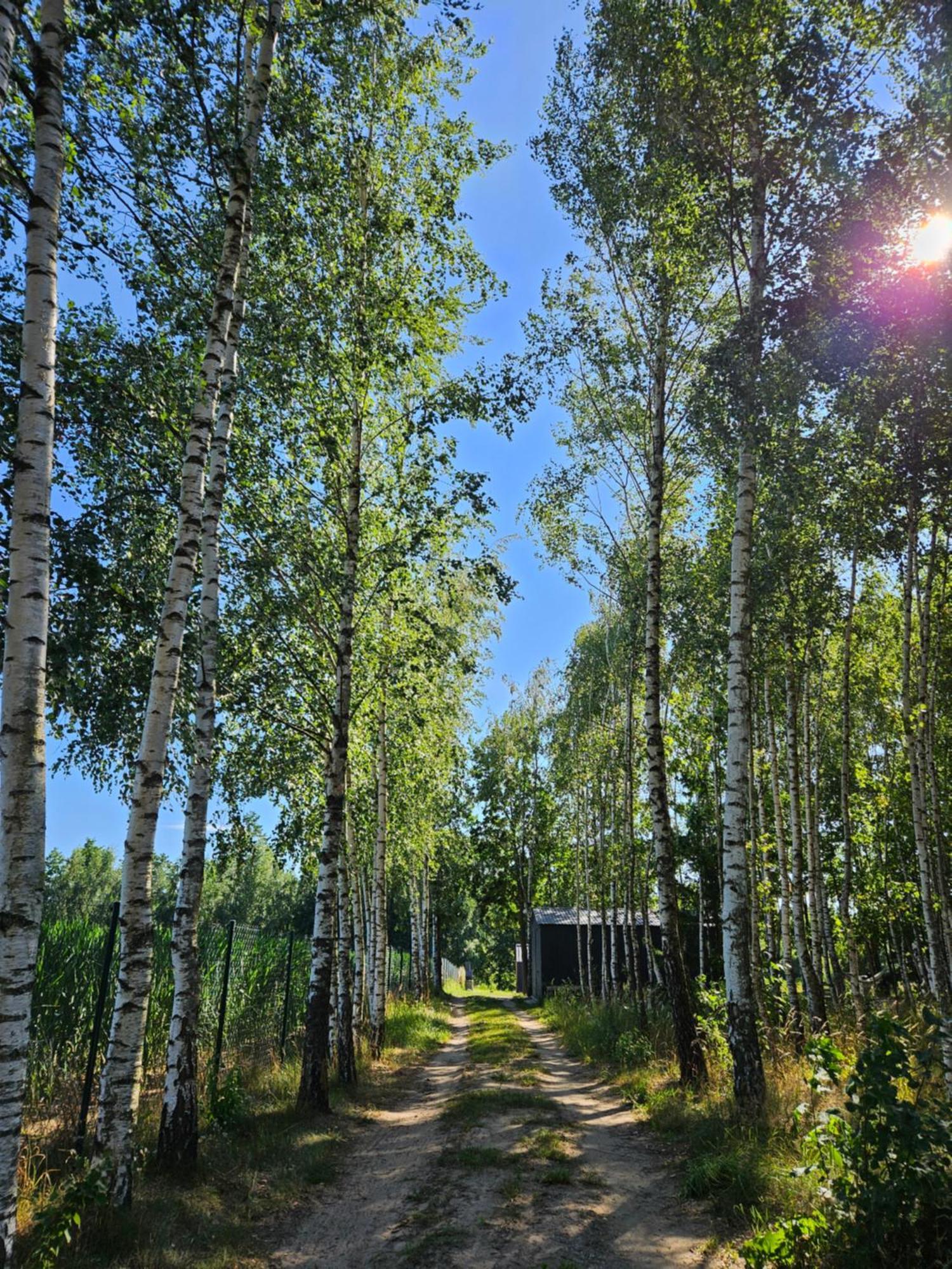 Przystanek Mazury.makosieje Ferienhaus *