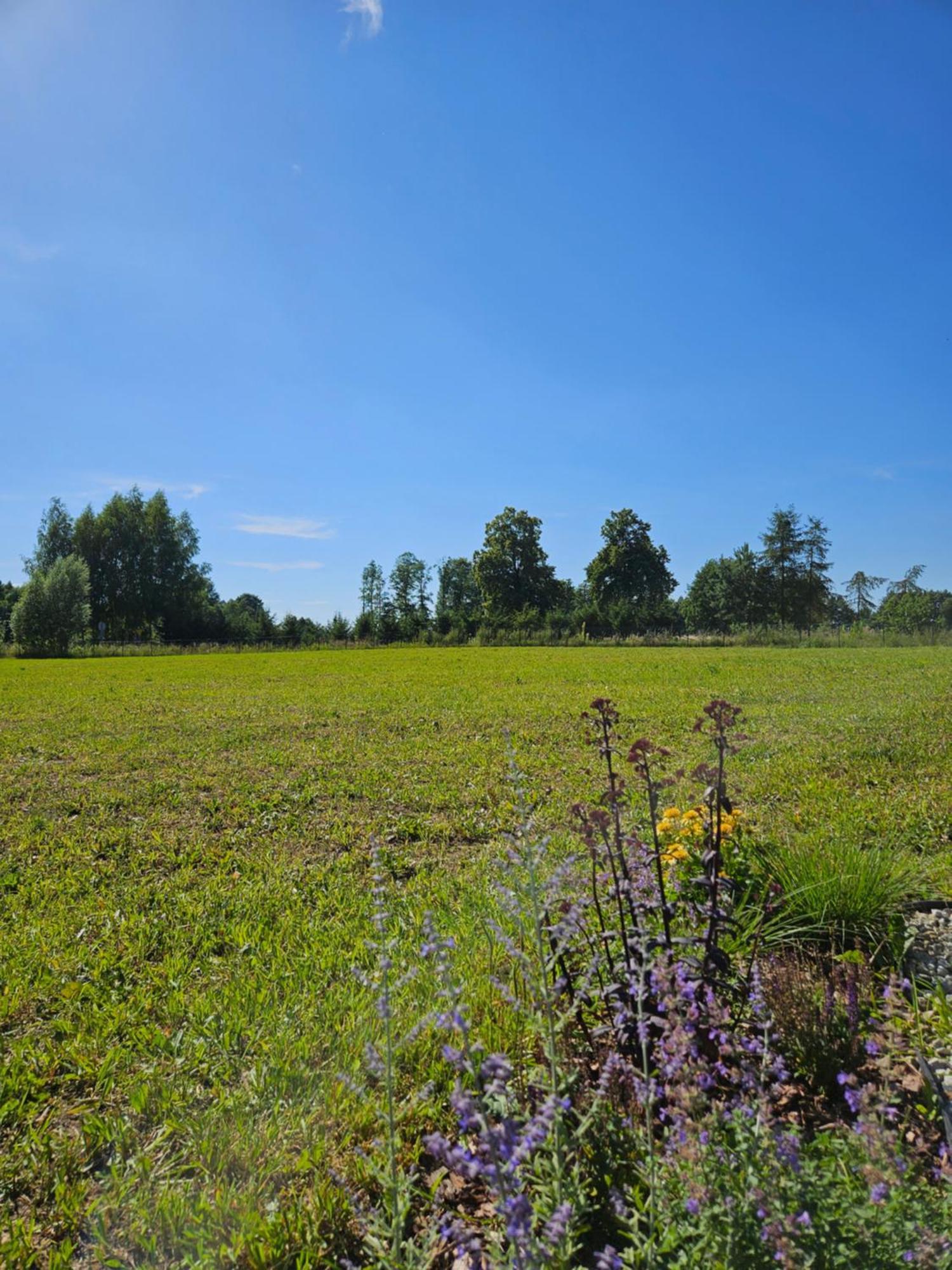 Ferienhaus Przystanek Mazury.makosieje Makosieje